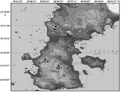 Diversity of Cultivable Microbes From Soil of the Fildes Peninsula, Antarctica, and Their Potential Application